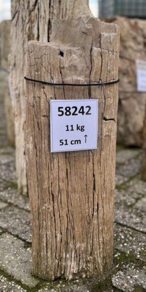 Grafsteen versteend hout 58242