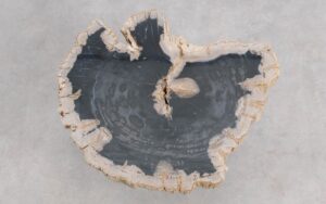 Salontafel versteend hout 0252