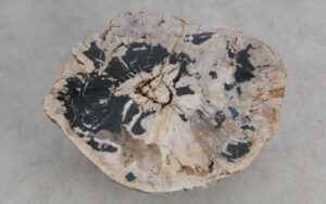 Salontafel versteend hout 36306
