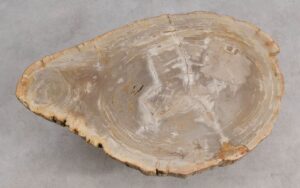 Salontafel versteend hout 44311