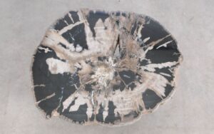 Salontafel versteend hout 59260