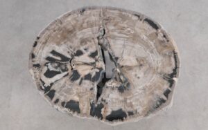 Salontafel versteend hout 59262