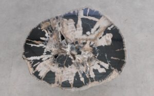 Salontafel versteend hout 59263