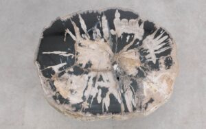 Salontafel versteend hout 59265