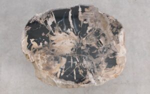 Salontafel versteend hout 59266