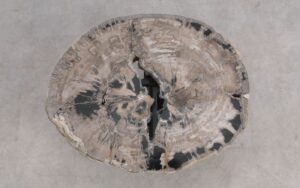 Salontafel versteend hout 59267
