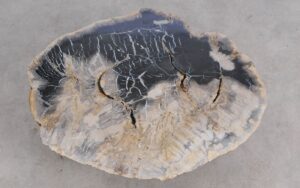 Salontafel versteend hout 59278