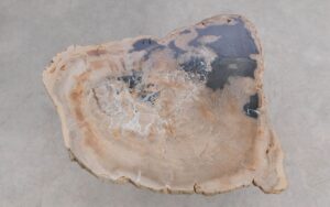 Salontafel versteend hout 59279