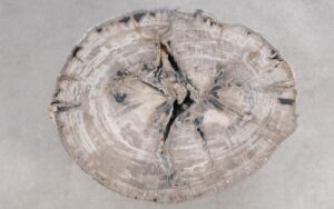 Salontafel versteend hout 59280