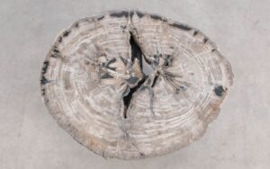 Salontafel versteend hout 59282