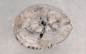 Salontafel versteend hout 59284