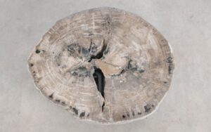 Salontafel versteend hout 59285
