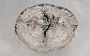 Salontafel versteend hout 59286