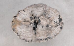 Salontafel versteend hout 59287