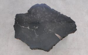Salontafel versteend hout 59290