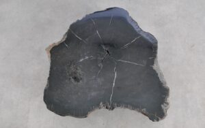 Salontafel versteend hout 59291