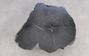 Salontafel versteend hout 59292