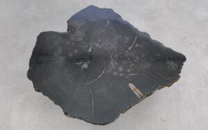 Salontafel versteend hout 59293