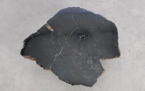 Salontafel versteend hout 59294