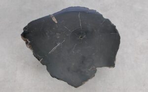 Salontafel versteend hout 59295