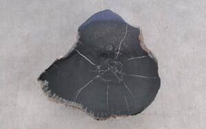 Salontafel versteend hout 59296