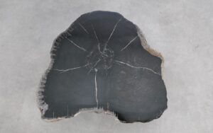 Salontafel versteend hout 59297