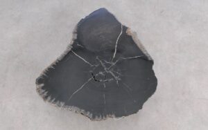 Salontafel versteend hout 59298