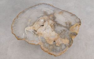 Salontafel versteend hout 59302