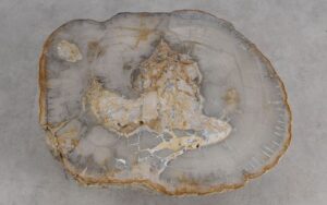 Salontafel versteend hout 59303