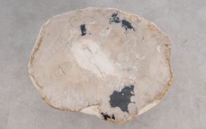 Salontafel versteend hout 59305