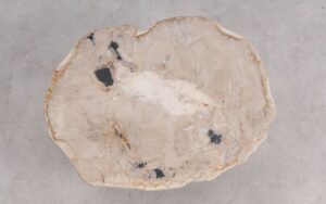Salontafel versteend hout 59306