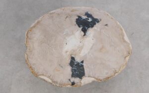 Salontafel versteend hout 59307