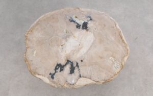 Salontafel versteend hout 59308