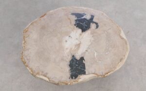 Salontafel versteend hout 59309