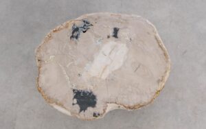 Salontafel versteend hout 59310