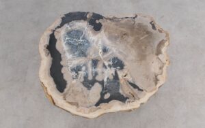 Salontafel versteend hout 59312