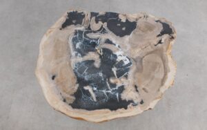 Salontafel versteend hout 59313