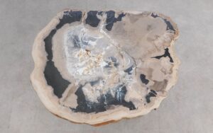 Salontafel versteend hout 59314
