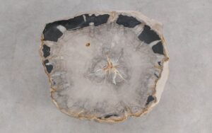 Salontafel versteend hout 59316
