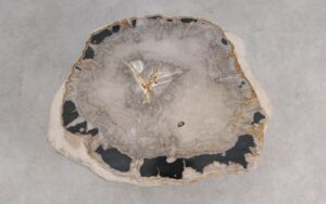 Salontafel versteend hout 59317