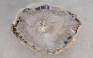 Salontafel versteend hout 59318