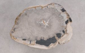 Salontafel versteend hout 59319