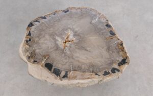 Salontafel versteend hout 59320