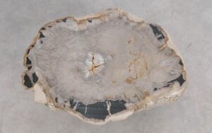 Salontafel versteend hout 59321