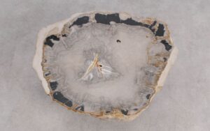 Salontafel versteend hout 59322