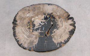 Salontafel versteend hout 59381