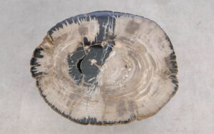 Salontafel versteend hout 59382