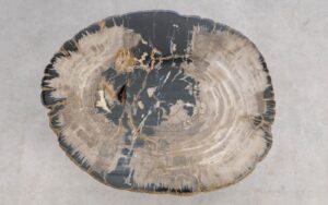 Salontafel versteend hout 59383