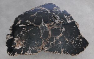 Salontafel versteend hout 59386