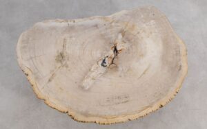 Salontafel versteend hout 59388